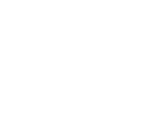 Röber Consulting GmbH